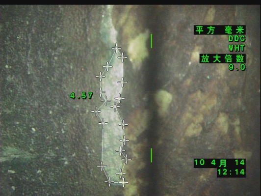 面積的測量 面積的測量